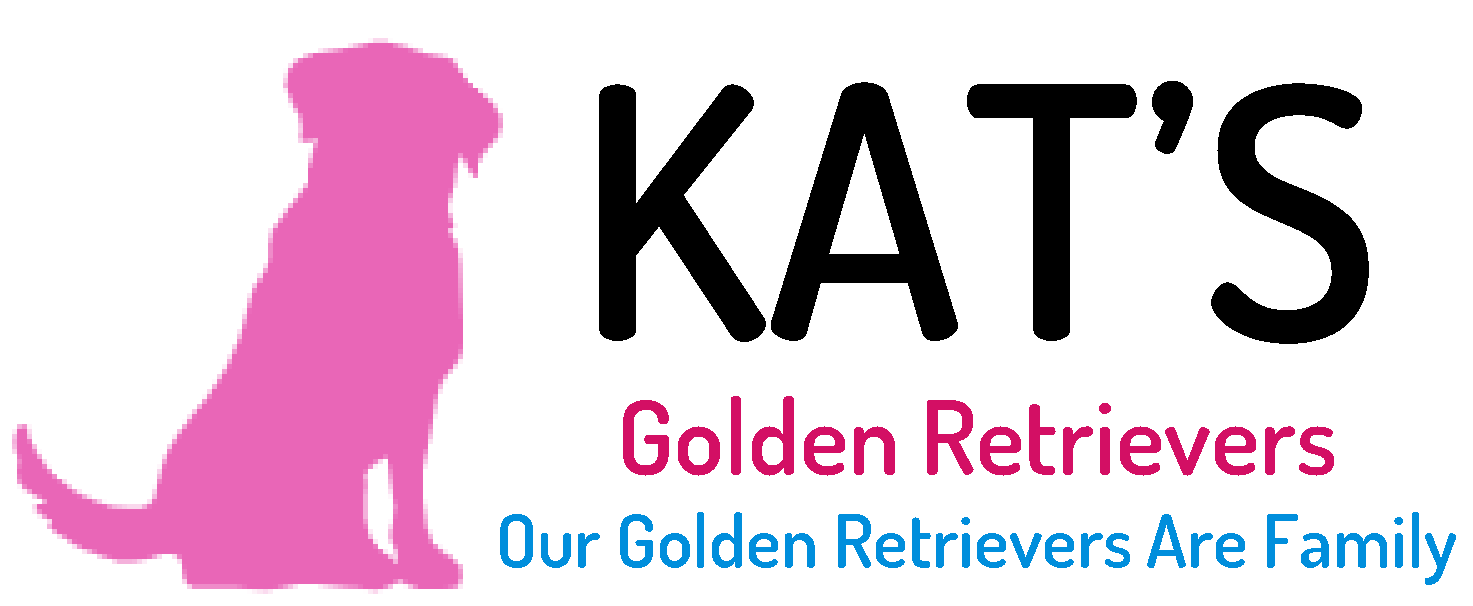 Kat's Golden Retrievers
